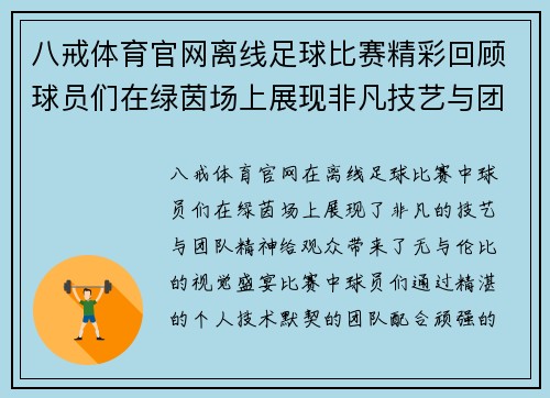 八戒体育官网离线足球比赛精彩回顾球员们在绿茵场上展现非凡技艺与团队精神